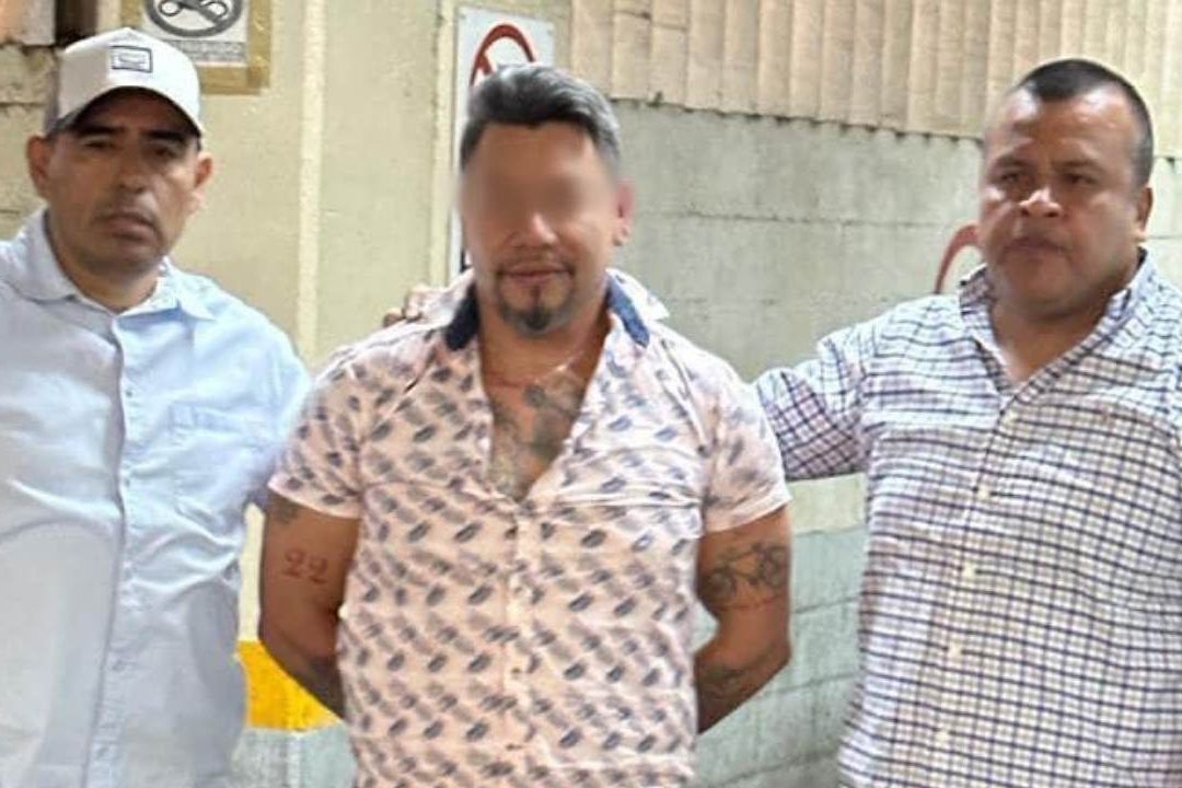 El Tiburón Parecía un Animal: Gobernador de San Luis Potosí