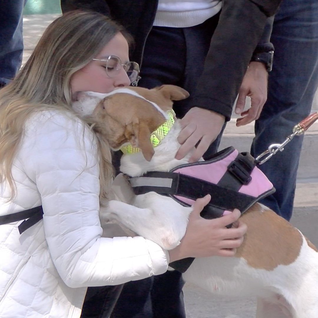La Perrita Maratonista con su nueva familia