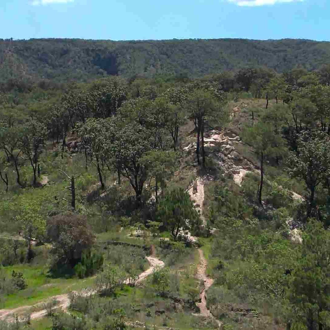 Madres buscadoras en Jalisco hallan cuerpo de adolescente en Bosque de La Primavera