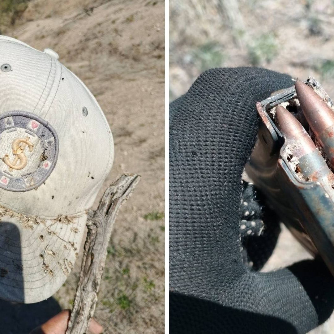 Localizan Restos Óseos Durante Jornada de Búsqueda en Sáric, Sonora