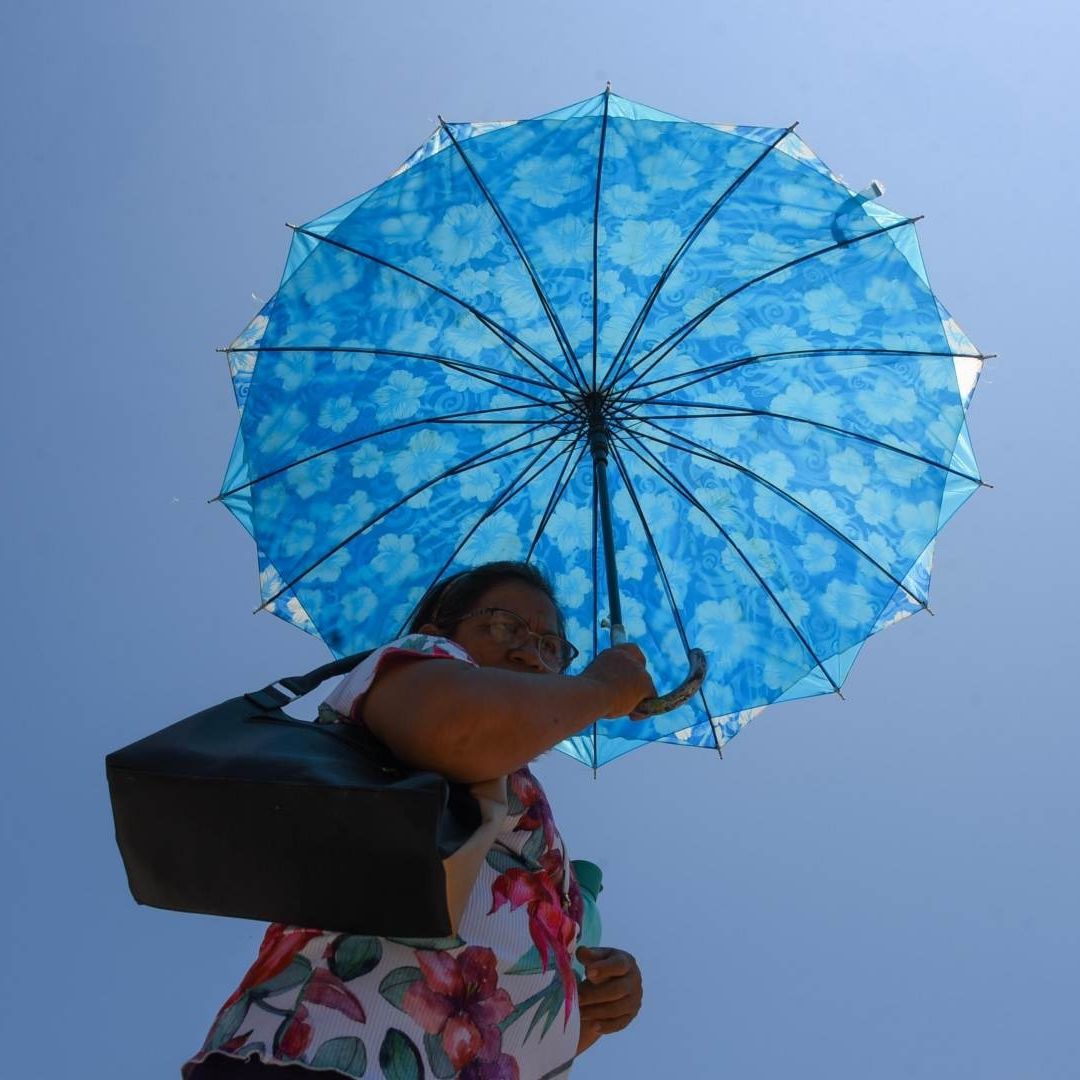 Varios estados han registrado altas temperaturas en pleno invierno. Foto: Cuartoscuro | Archivo