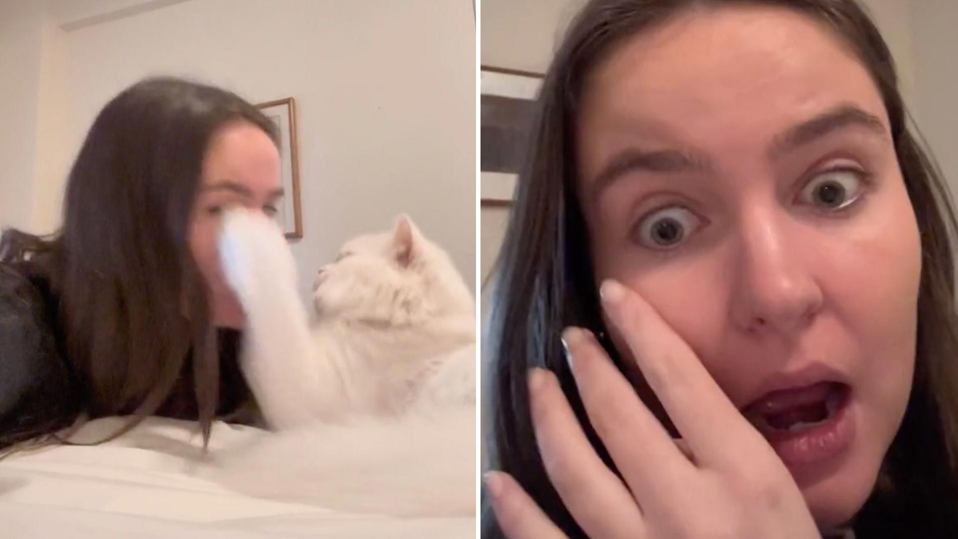 Video: Gato Deja Ciega a su Dueña Mientras Jugaban