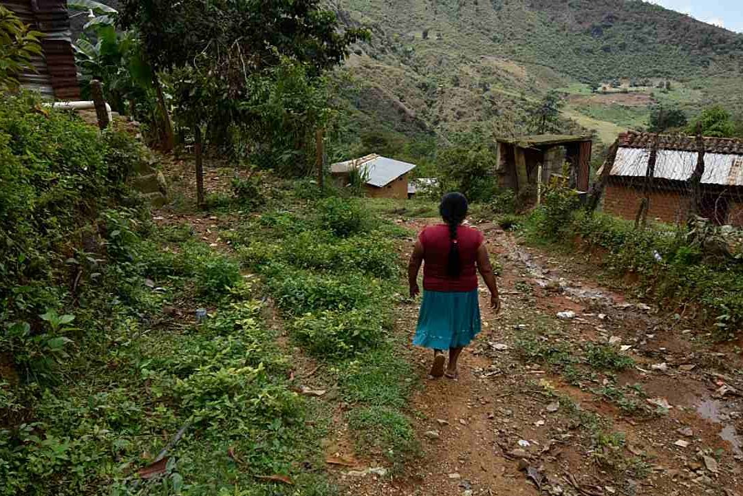 Coneval reporta reducción de la pobreza en 16% entre 2020 y 2022