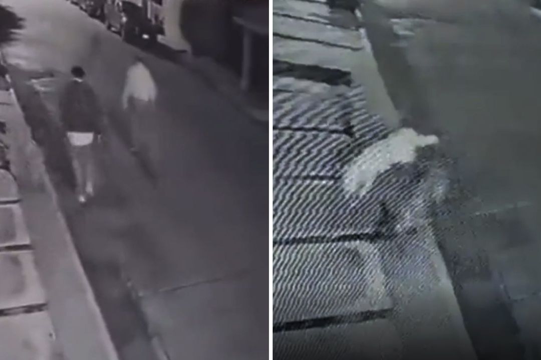 Imágenes del video donde aparece el alcalde de Tangancícuaro