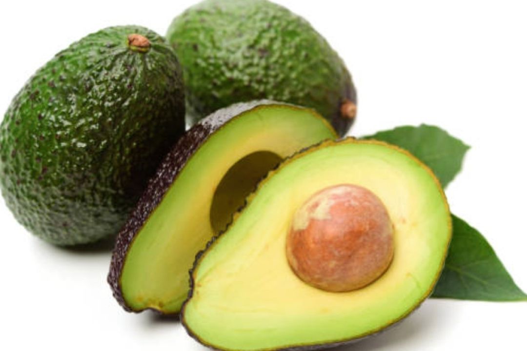 México Declara Libres de Plagas Regiones Aguacateras de Cinco Estados