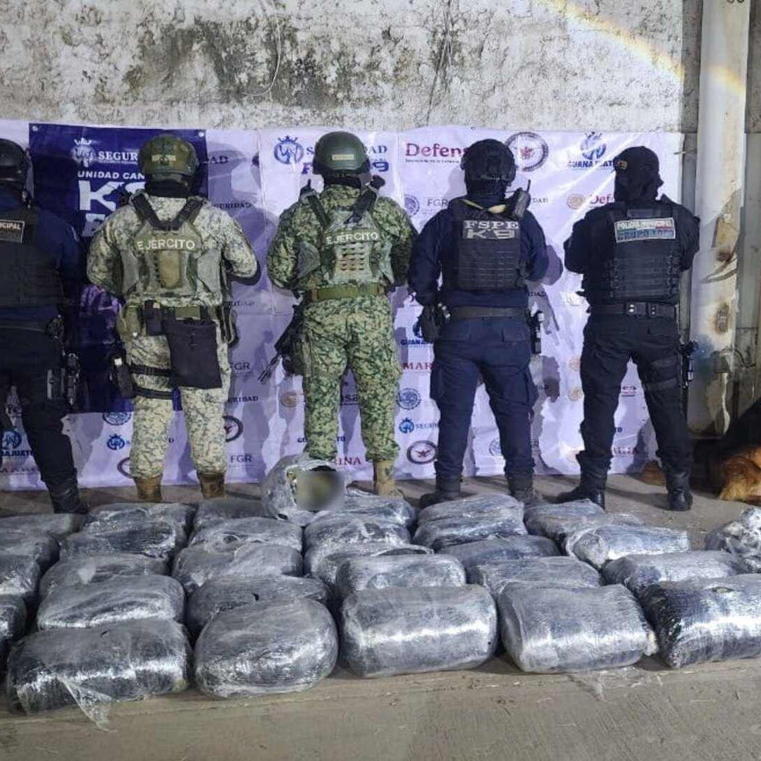 Encuentra Perro Policía Más de 126 Mil Dosis de Droga en una Casa en Irapuato