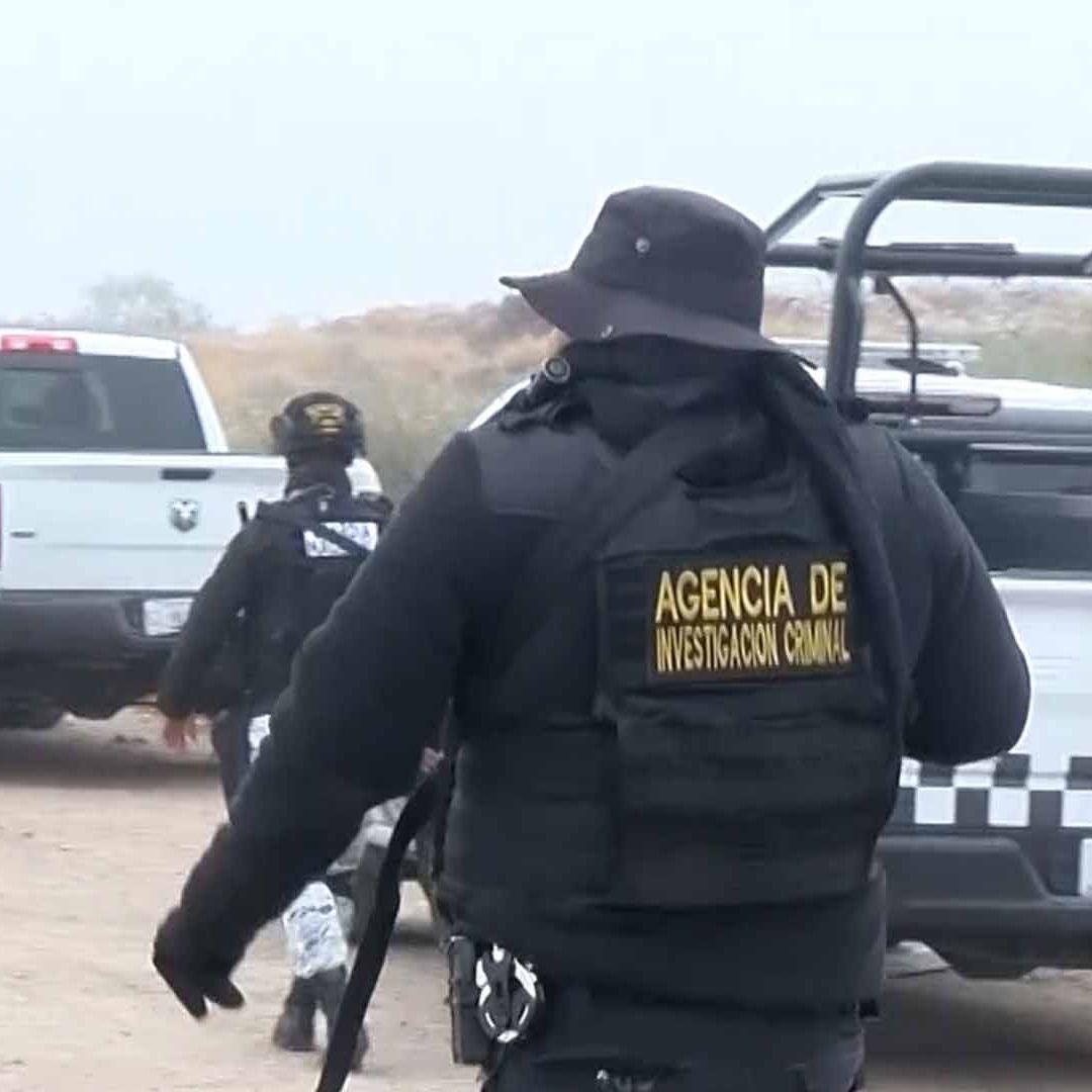 Localizan Cráneo Humano en un Predio de Nava, Coahuila