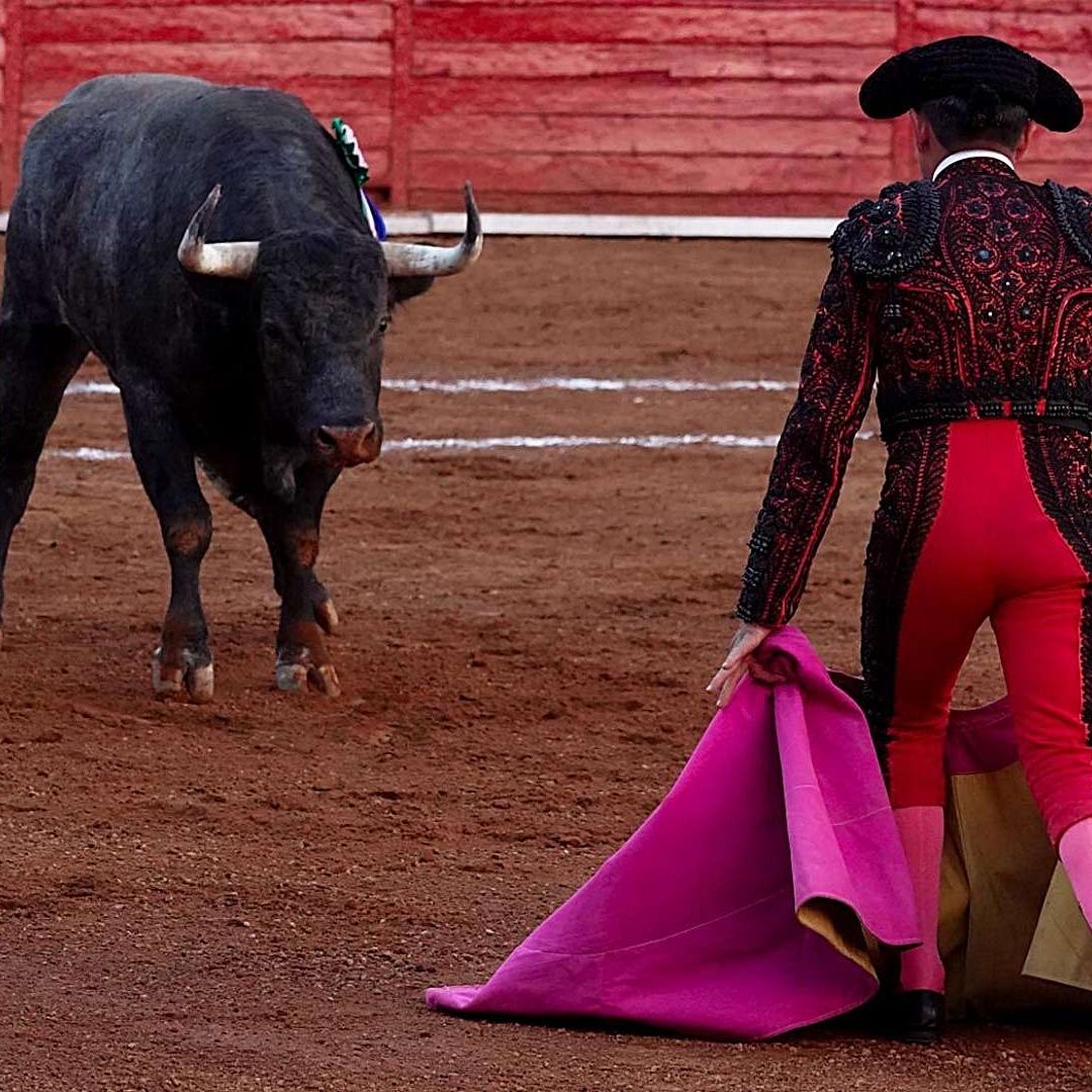El Pleno de la Corte analizó un reglamento que prohibía corridas de toros y peleas de gallos. Foto: Cuartoscuro | Archivo