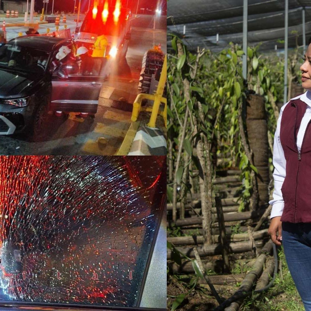 Ataque Armado Presidenta Municipal de Ayotoxco de Guerrero Alicia Hernández Cuapiaxtla Tlaxcala