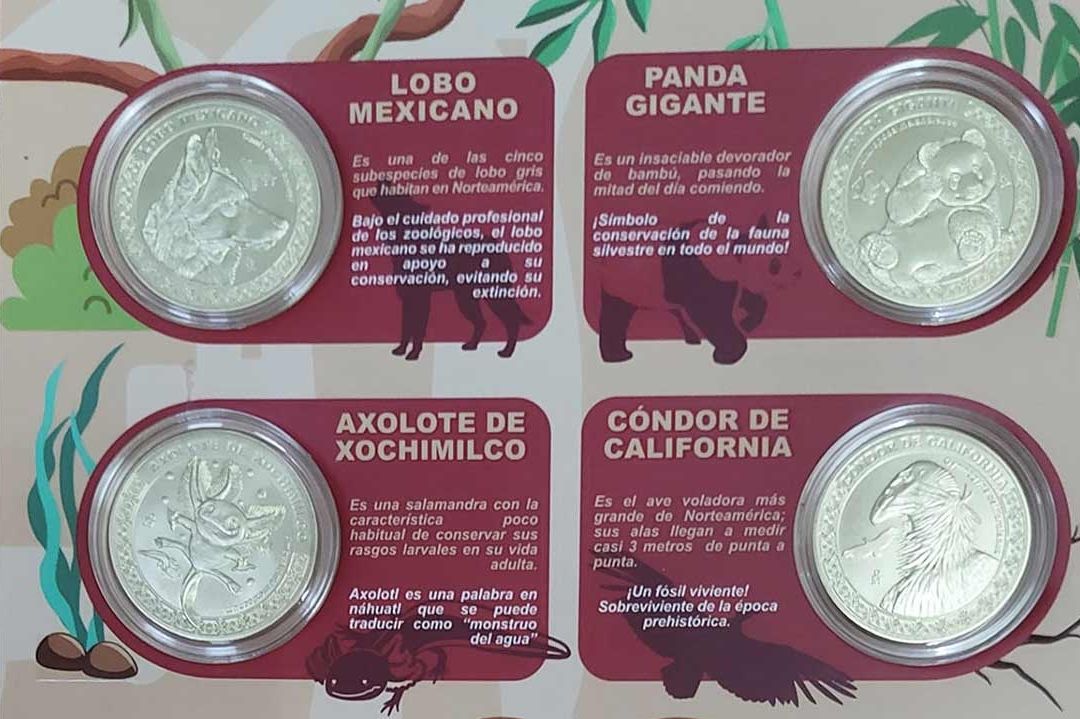 Estos son los costos de las monedas por el centenario del Zoológico de Chapultepec