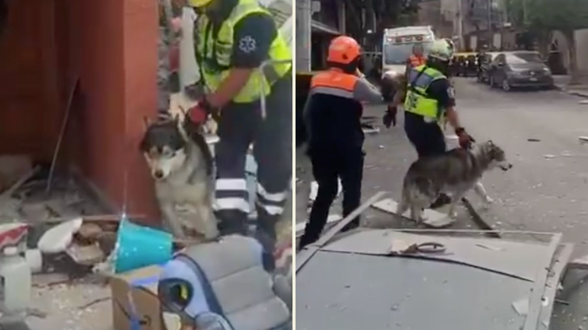 Video: Perrito Sobrevive a Fuerte Explosión por Gas en Casa de Álvaro Obregón, CDMX