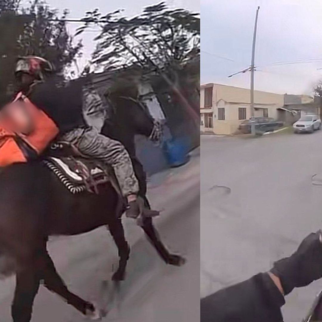 Repartidor con caballo