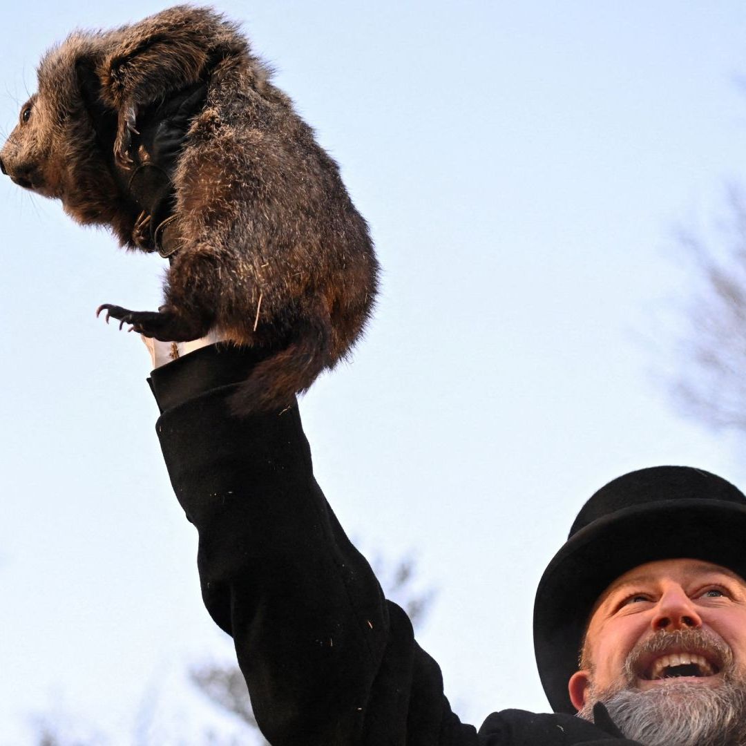 El Día de la Marmota tiene raíces en antiguas tradiciones agrícolas europeas.