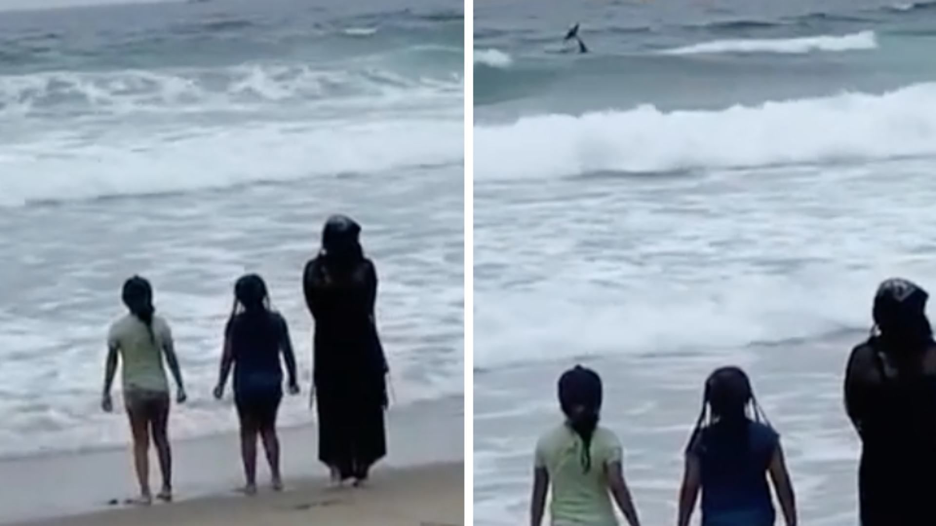 Captan en Video a Supuesta Sirenan Nadando en Playas de Tijuana, México