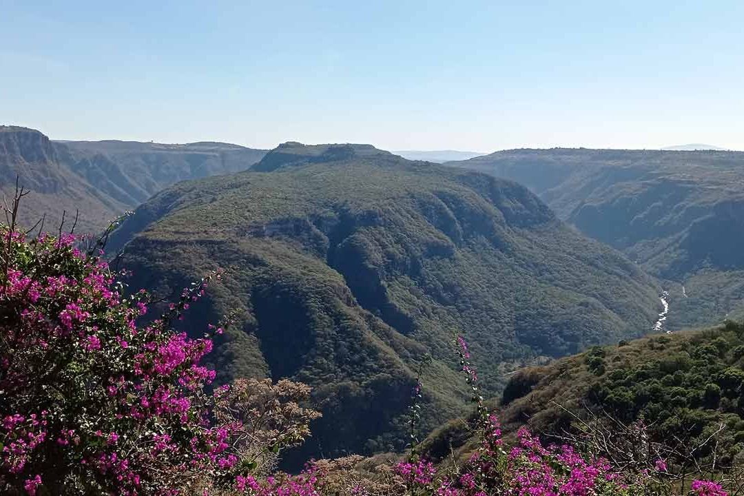 Mujer Salió a Ejercitar con su Pareja y Cae por la Barranca de Huentitán