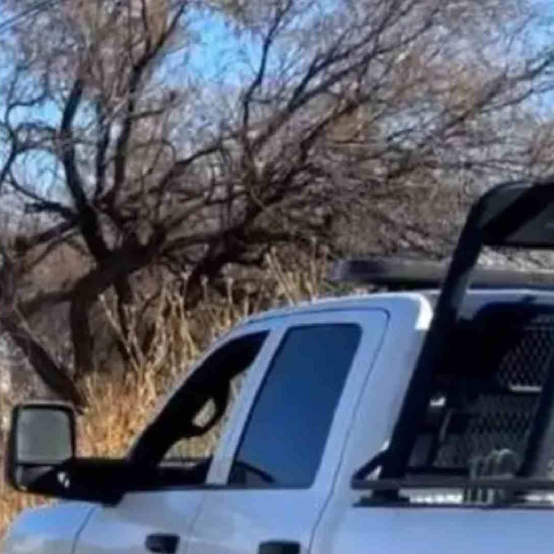 El operativo de las fuerzas de seguridad continúa activo en la zona
