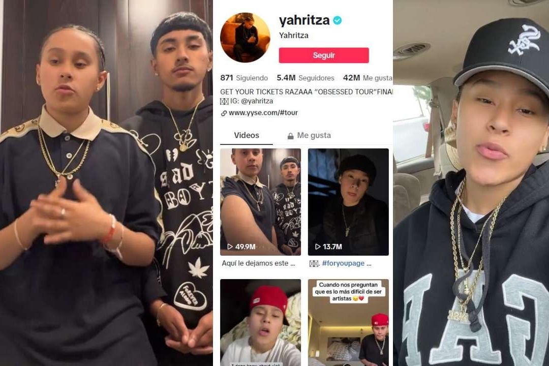 Cuántos Seguidores Perdió Yahritza y su Esencia