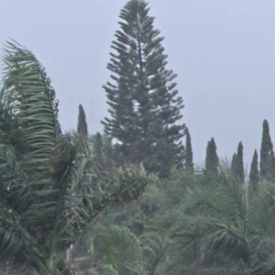 Fin de Semana Frío en Tamaulipas: Así Estará el Clima por Ingreso del Frente Frío 32