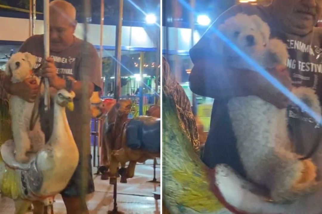 Abuelito Sube a su Perrito al Carrusel en Ciudad Juárez