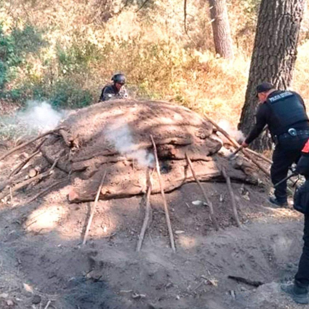 Seis Hornos Clandestinos de Madera de Tala Ilegal Clandestina Eliminados en San Nicolás de los Ranchos Puebla