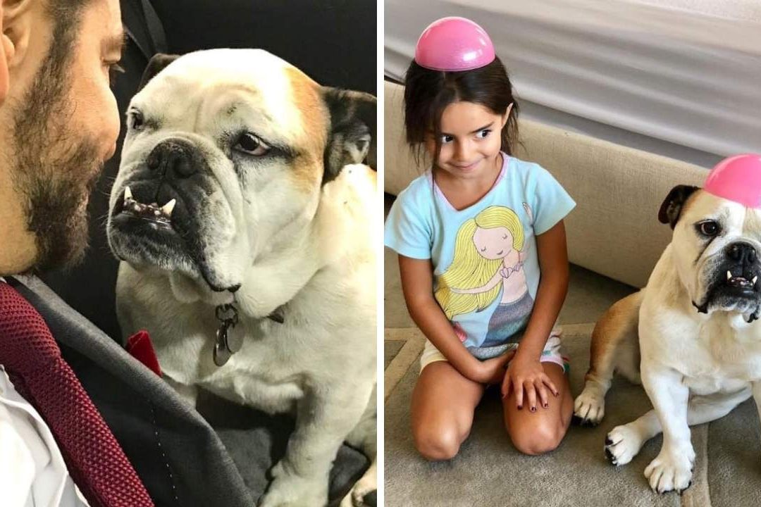 Eugenio Derbez Desconsolado por la Muerte de su Perrita