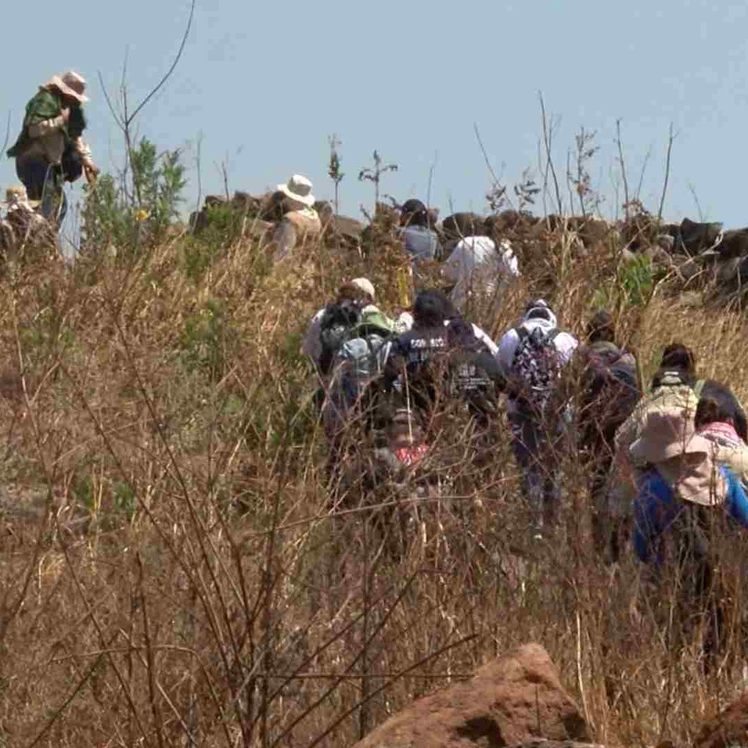 Colectivos de Búsqueda de Personas Desaparecidas Frenan Búsquedas Por Miedo