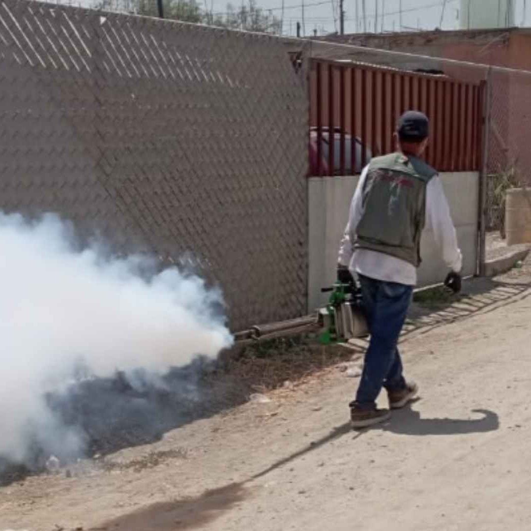 Tijuana Realiza Campaña Contra el Dengue Tras Paso de Tormenta Hilary