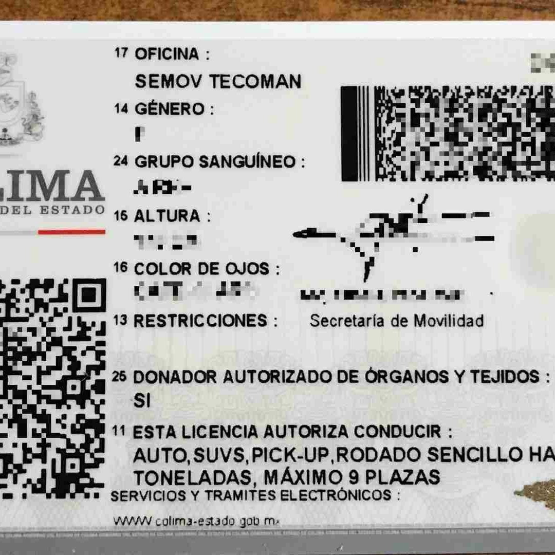 Alertan por Fraudes en Venta de Placas y Licencias en Redes Sociales en Colima