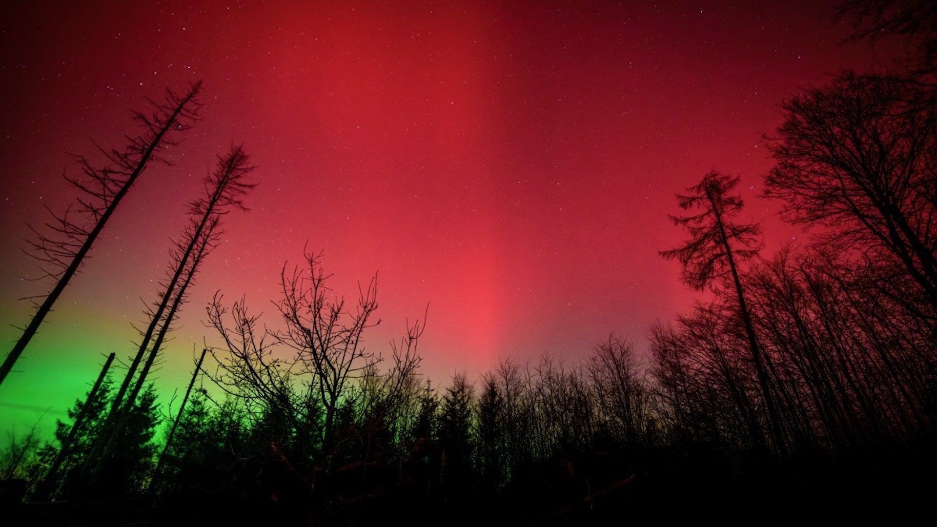 Advierten por tormenta geomagnética, ¿habrá aurora boreal en México?