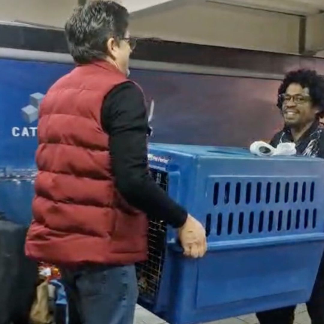 Veracruzano llegando con sus mascotas tras ser deportado de Estados Unidos.