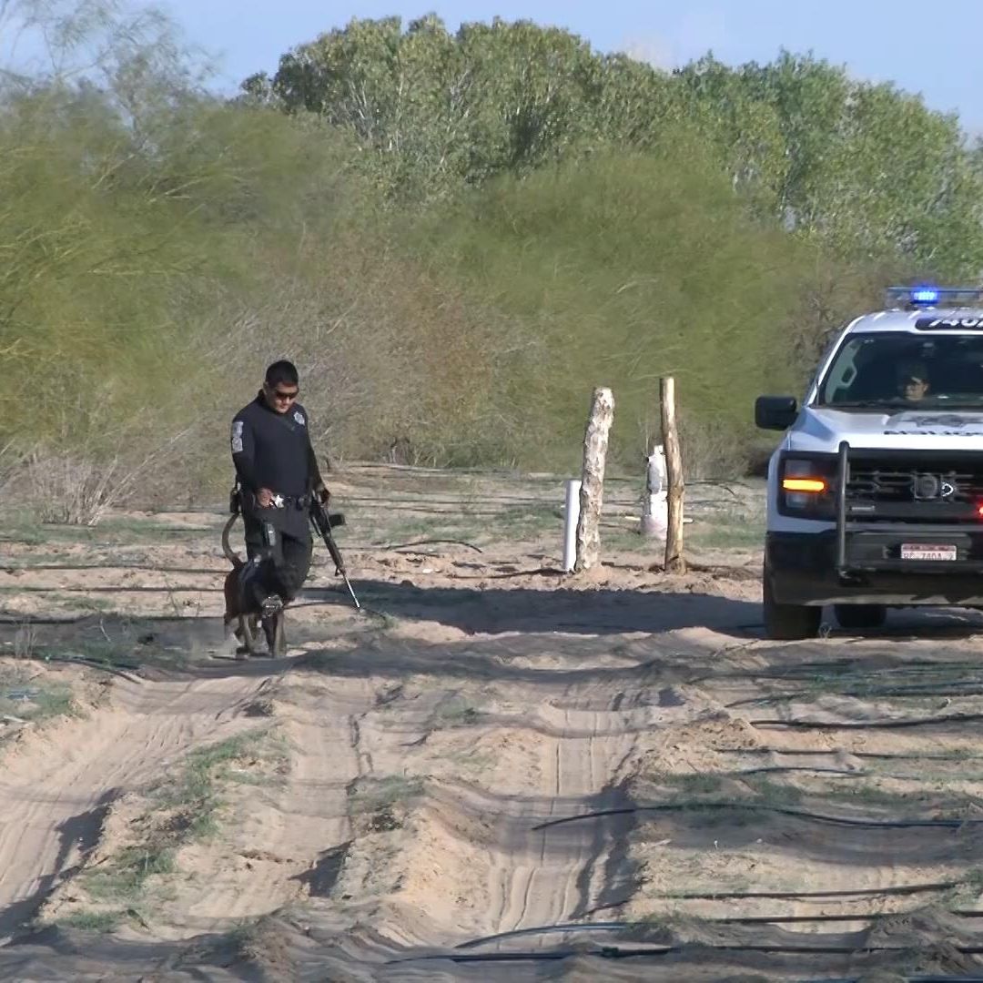 Hallan 15 Fosas Clandestinas en Mexicali, BC; Nueve Cuerpos ya Fueron Identificados