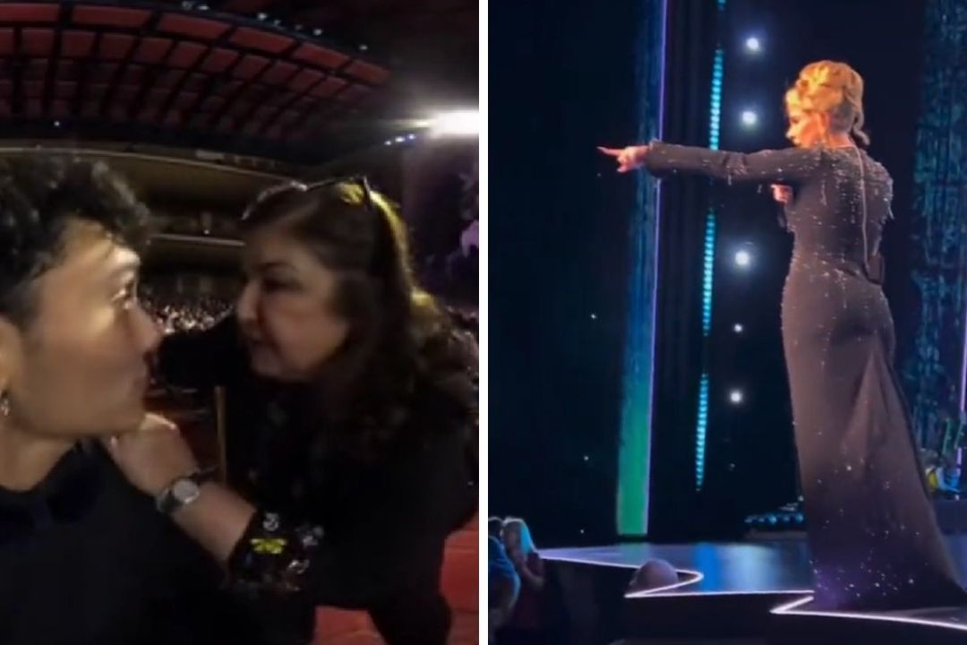 Adele Defiende a Fan de Guardia de Seguridad