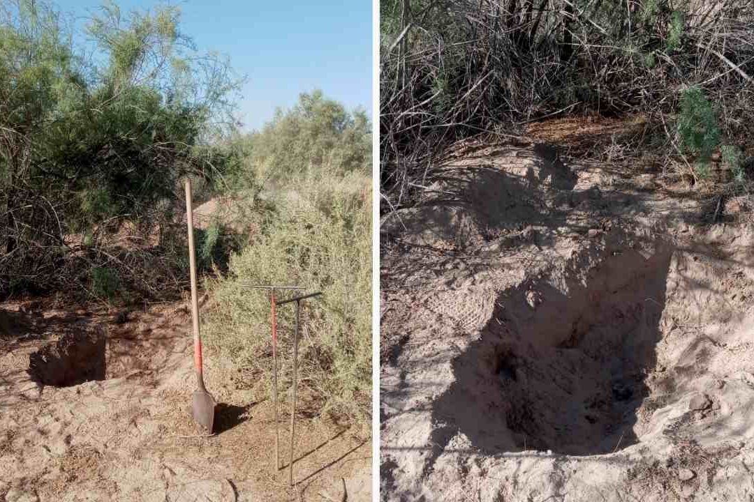 Suman 19 hallazgos de restos humanos en fosas clandestinas del Valle de Mexicali