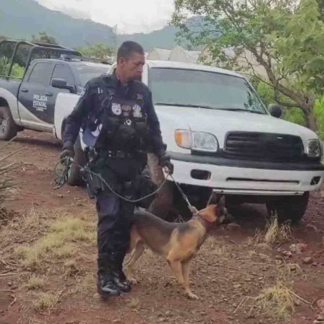 Con Ayuda de Drones, Localizan Cuerpos de Abuelitos Desaparecidos en Nayarit