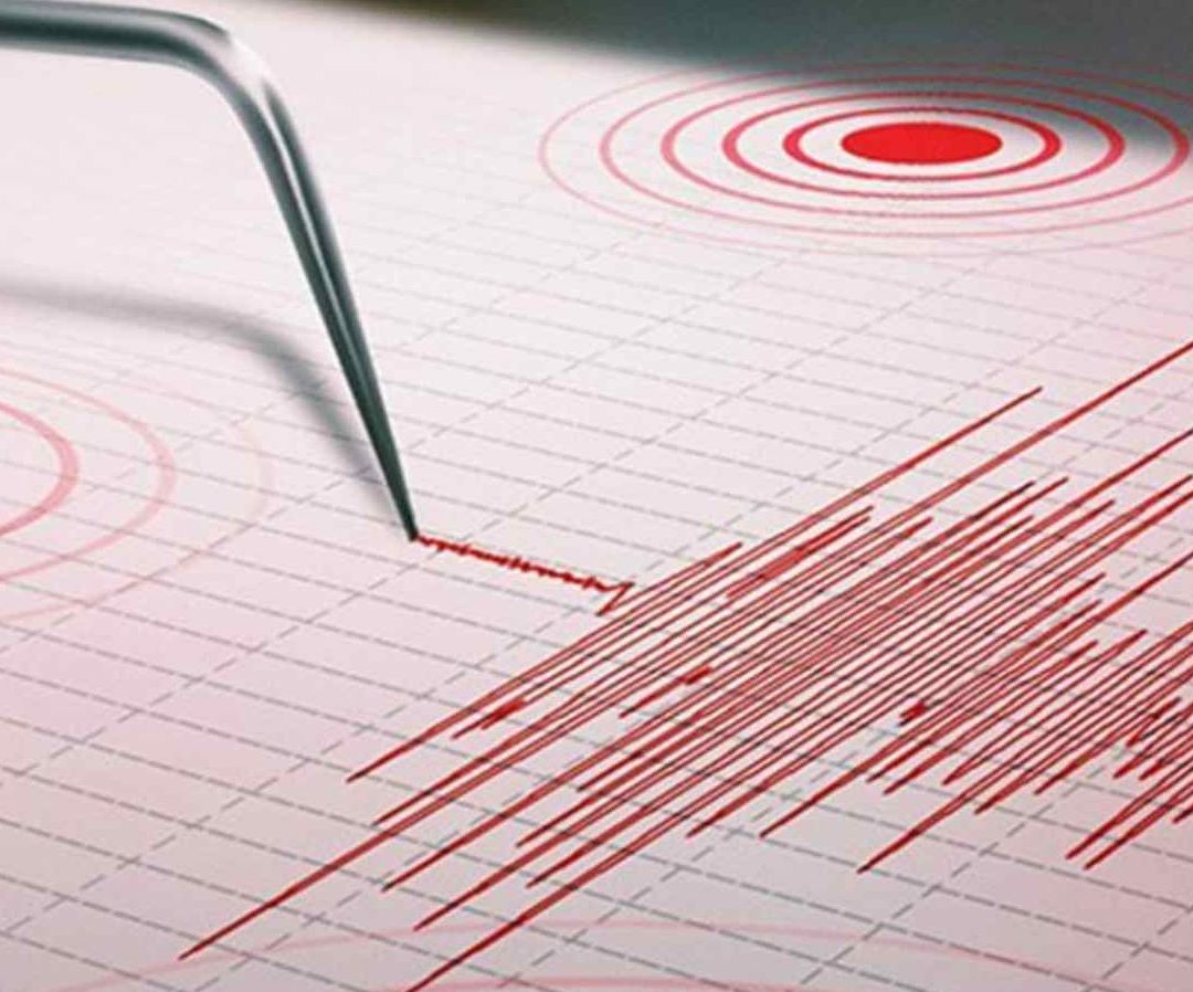 Sismo en Edomex. Foto: N+
