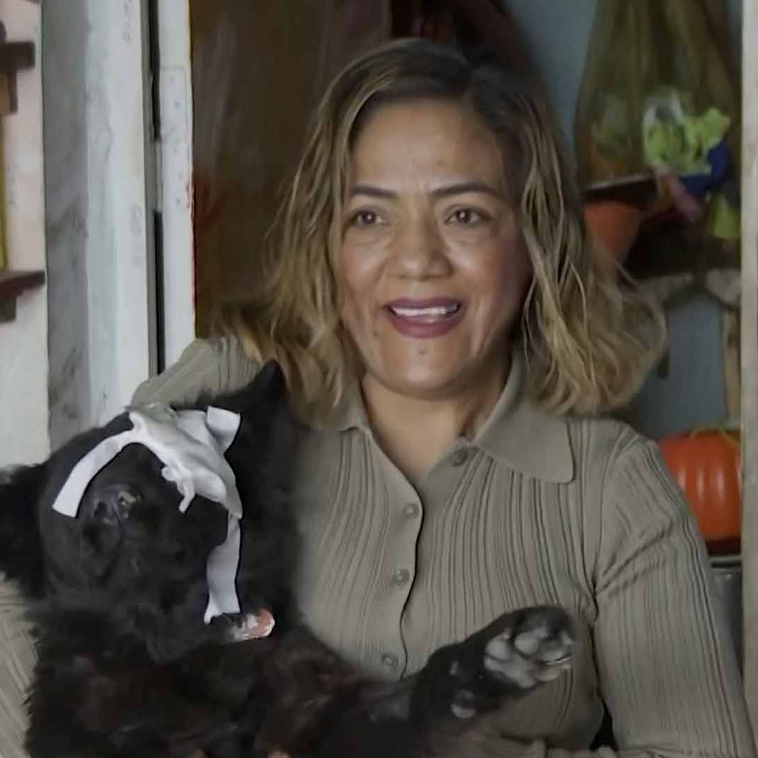 Adoptan a Perra que Sobrevivió tras Ser Acuchillada en Torreón