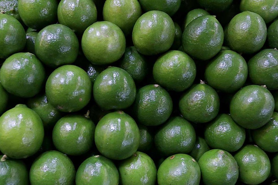 Regresan a sus actividades limoneros de 6 municipios de Michoacán