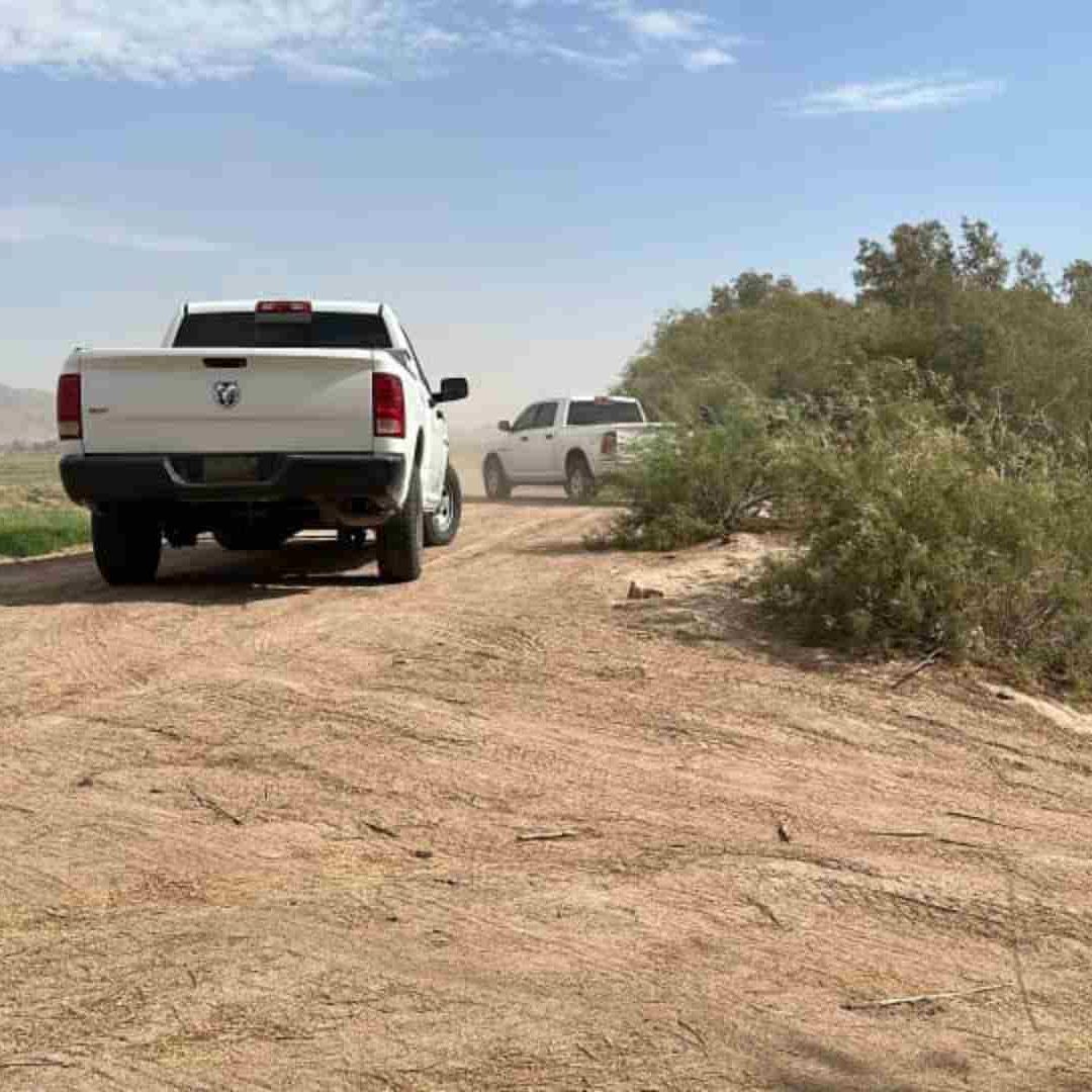 Localizan cadáver cerca de Los Algodones en Mexicali, Baja California