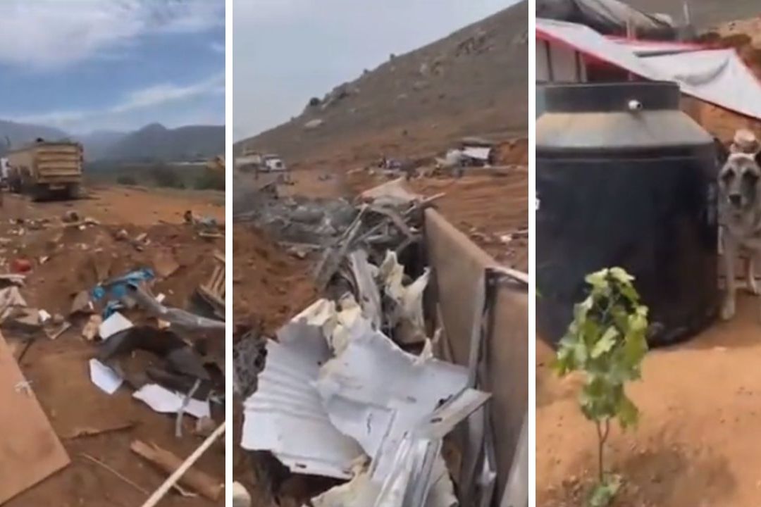 Constructora Destruye Albergue para Mascotas en Ensenada