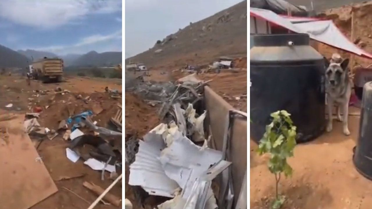 Constructora Destruye Albergue para Mascotas en Ensenada