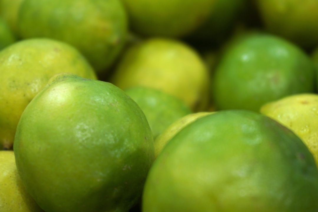 El precio del limón está en aumento durante septiembre 2023 y aquí te explicamos por qué