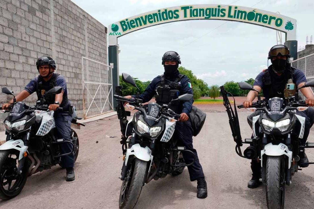 Crisis en Michoacán por producción de limones y aguacate