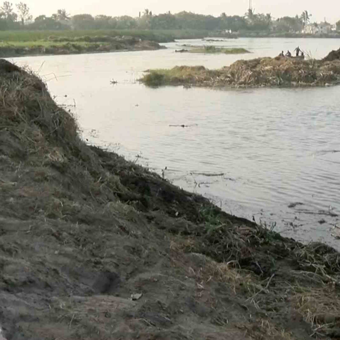 Boa Hallada en Laguna de Veracruz Podría Comerse a las Mascotas