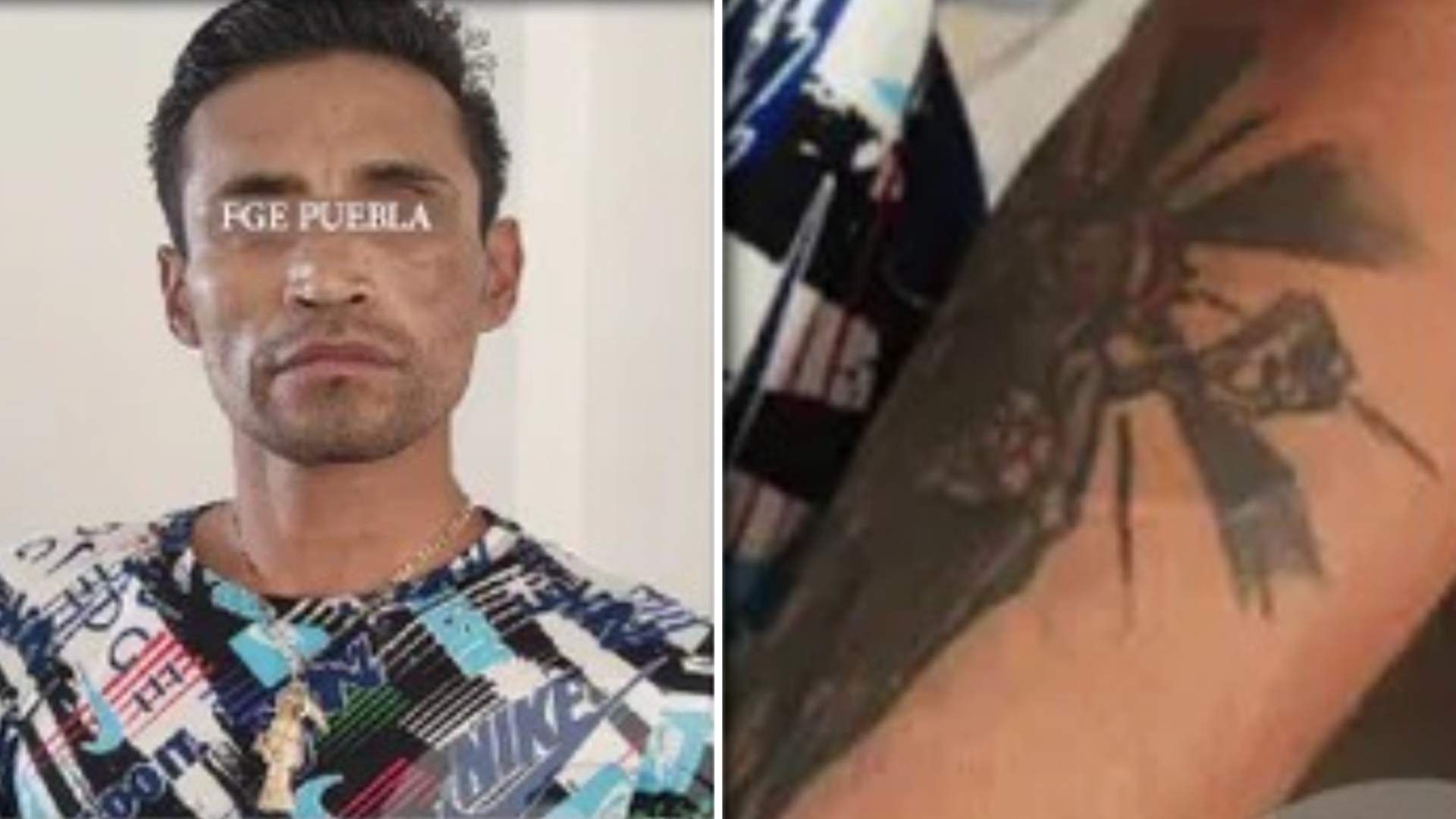 Detienen al Hombre que Pateó y Aventó al Vacío a una Perrita en Puebla