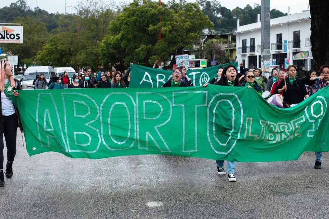 Podcast N+ | Despenalizan el Aborto, Rinocerontes Blancos y Yahritza
