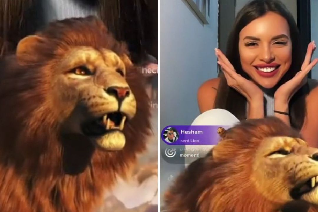 TikTok tiene un programa de recompensas y el León es de los más cotizados