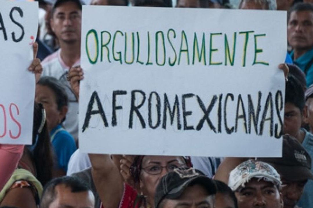 Partidos Deberán Aplicar Acciones Afirmativas en sus Candidaturas del 2024