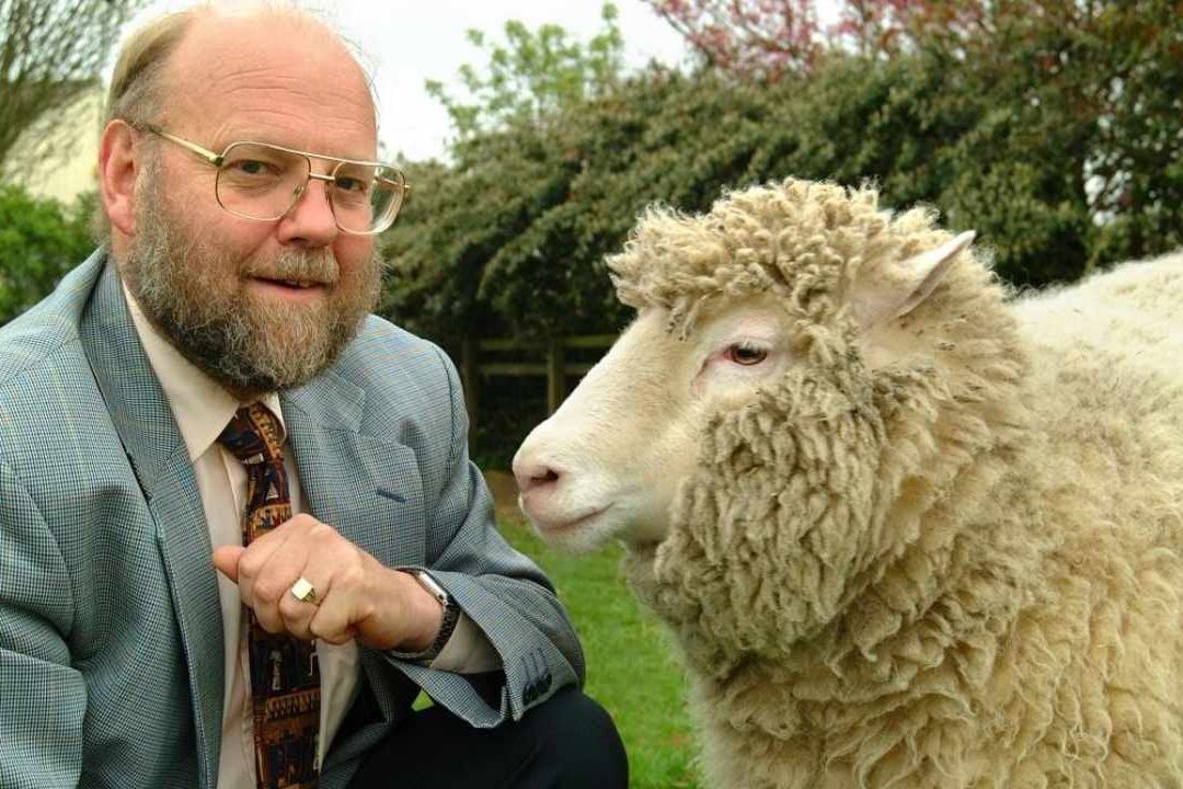 Ian Wilmut clonó a la oveja Dolly