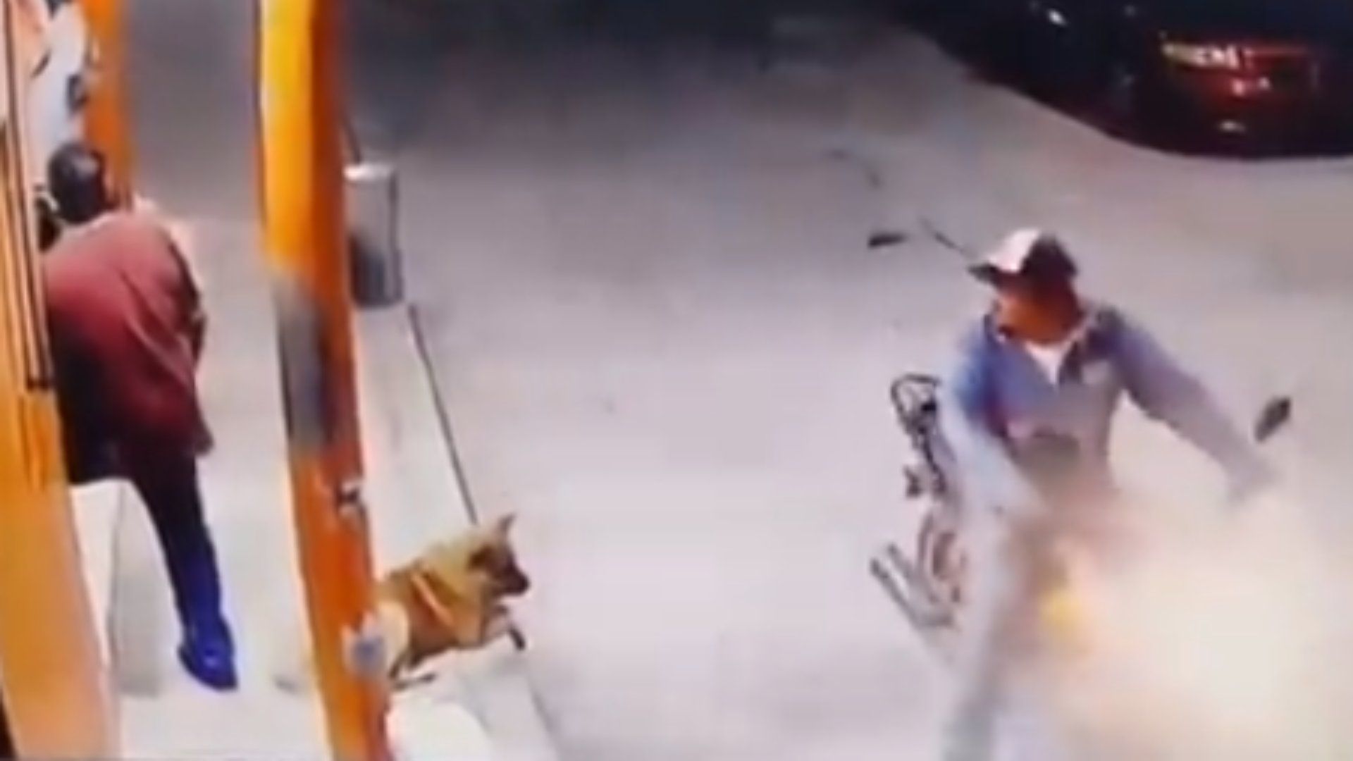 Hombre Golpea con Tabique a Perrito que le Ladró en Zempoala, Hidalgo