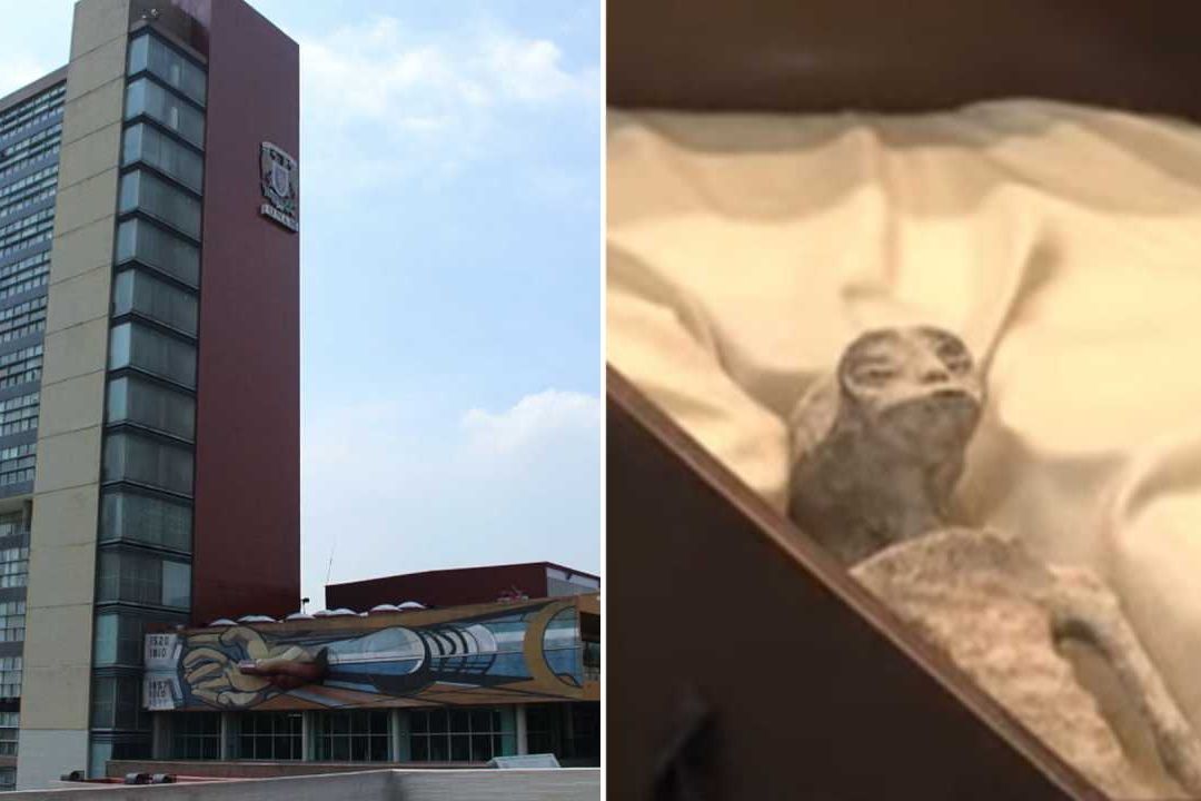 UNAM Desmiente Haber Estudiado Restos de Extraterrestres de Maussan